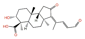 Jaspiferal F